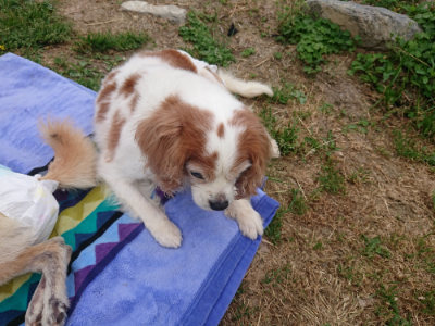 f:id:roukenhome-ann:20190514203404j:plain