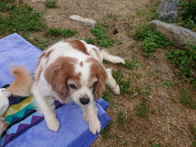 f:id:roukenhome-ann:20190514203413j:plain