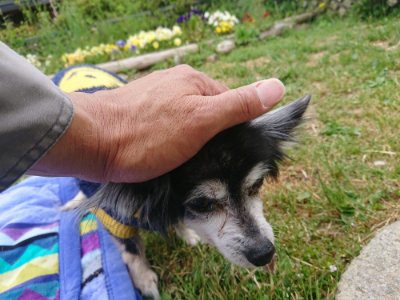 f:id:roukenhome-ann:20190514203416j:plain