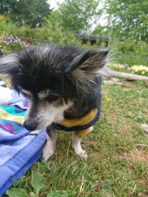 f:id:roukenhome-ann:20190514203436j:plain