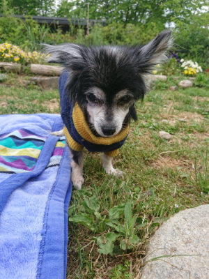 f:id:roukenhome-ann:20190514203440j:plain