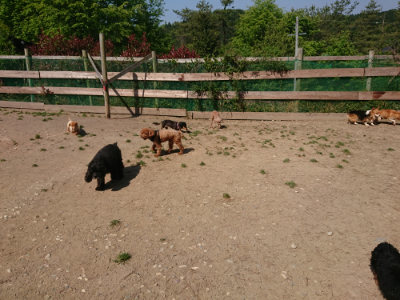 f:id:roukenhome-ann:20190515074747j:plain