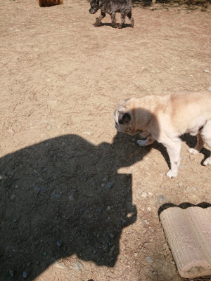 f:id:roukenhome-ann:20190515074752j:plain