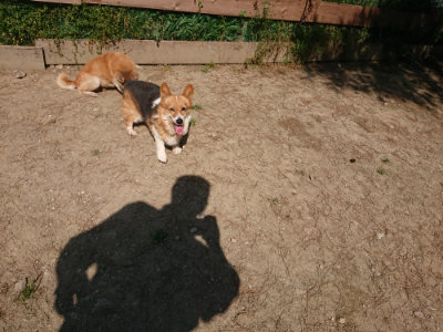 f:id:roukenhome-ann:20190515074803j:plain