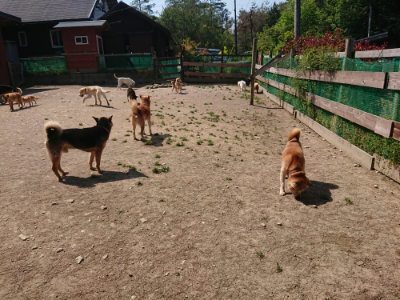 f:id:roukenhome-ann:20190515074812j:plain