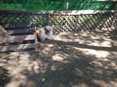 f:id:roukenhome-ann:20190515074818j:plain