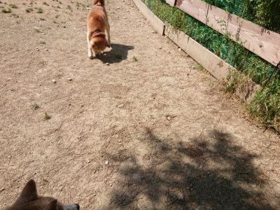 f:id:roukenhome-ann:20190515074827j:plain