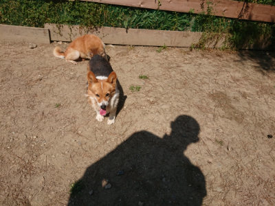 f:id:roukenhome-ann:20190515074840j:plain