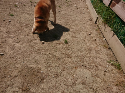 f:id:roukenhome-ann:20190515074846j:plain