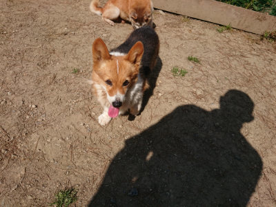 f:id:roukenhome-ann:20190515074855j:plain
