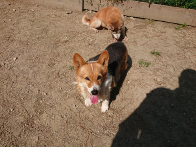 f:id:roukenhome-ann:20190515074914j:plain