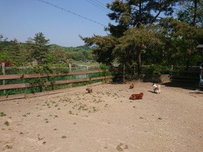 f:id:roukenhome-ann:20190515074928j:plain