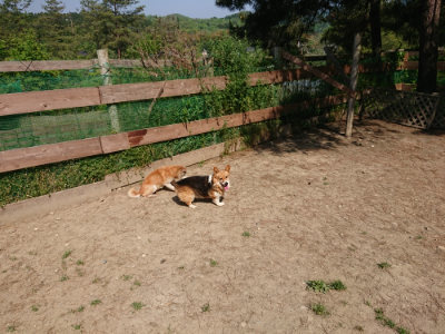 f:id:roukenhome-ann:20190515074940j:plain