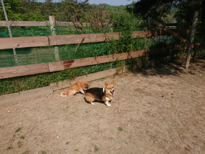 f:id:roukenhome-ann:20190515074946j:plain