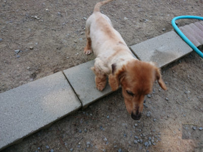 f:id:roukenhome-ann:20190515075012j:plain