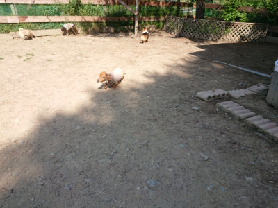 f:id:roukenhome-ann:20190515075028j:plain