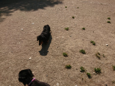 f:id:roukenhome-ann:20190515075034j:plain