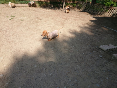 f:id:roukenhome-ann:20190515075043j:plain