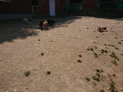 f:id:roukenhome-ann:20190515075049j:plain