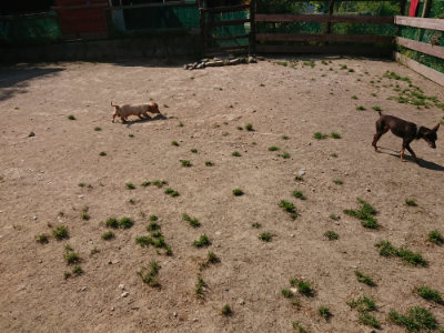 f:id:roukenhome-ann:20190515075055j:plain