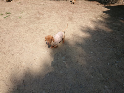 f:id:roukenhome-ann:20190515075110j:plain