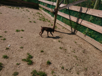 f:id:roukenhome-ann:20190515075122j:plain
