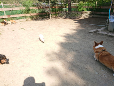f:id:roukenhome-ann:20190515075138j:plain