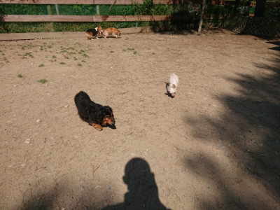 f:id:roukenhome-ann:20190515075203j:plain