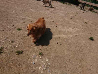 f:id:roukenhome-ann:20190515075213j:plain