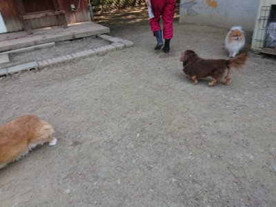 f:id:roukenhome-ann:20190515075458j:plain