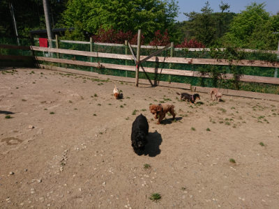 f:id:roukenhome-ann:20190515075513j:plain