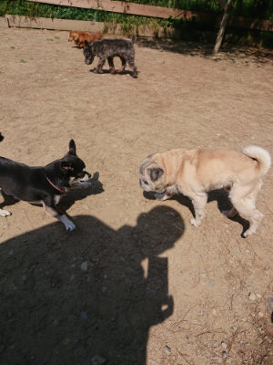 f:id:roukenhome-ann:20190515075518j:plain