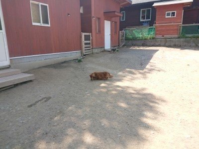 f:id:roukenhome-ann:20190515075534j:plain