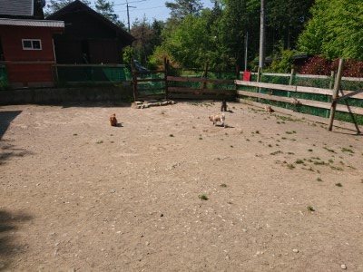 f:id:roukenhome-ann:20190515075539j:plain
