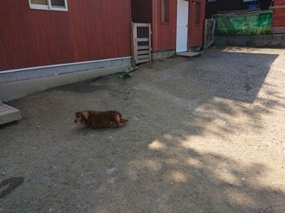 f:id:roukenhome-ann:20190515075559j:plain