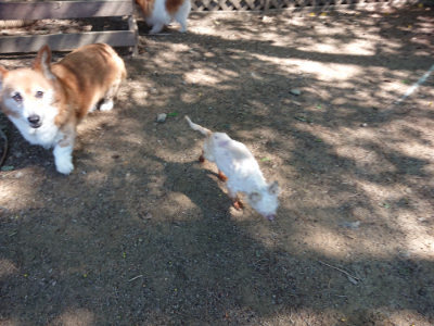 f:id:roukenhome-ann:20190515075616j:plain