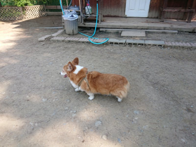 f:id:roukenhome-ann:20190515075622j:plain