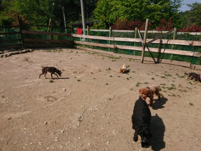 f:id:roukenhome-ann:20190515075637j:plain