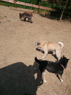 f:id:roukenhome-ann:20190515075643j:plain