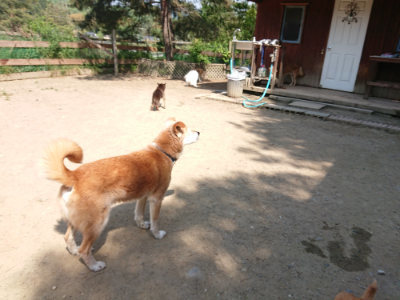 f:id:roukenhome-ann:20190515075652j:plain