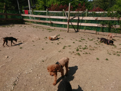 f:id:roukenhome-ann:20190515075657j:plain