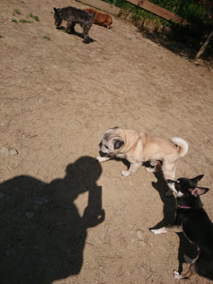 f:id:roukenhome-ann:20190515075701j:plain