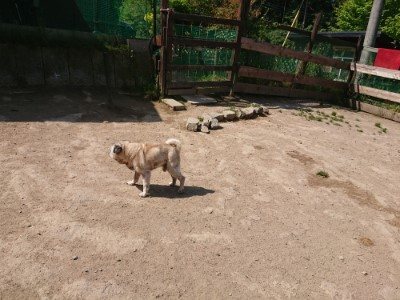 f:id:roukenhome-ann:20190515075706j:plain