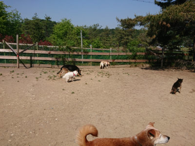 f:id:roukenhome-ann:20190515075711j:plain