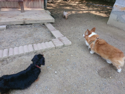 f:id:roukenhome-ann:20190515075717j:plain