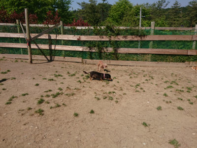 f:id:roukenhome-ann:20190515075722j:plain
