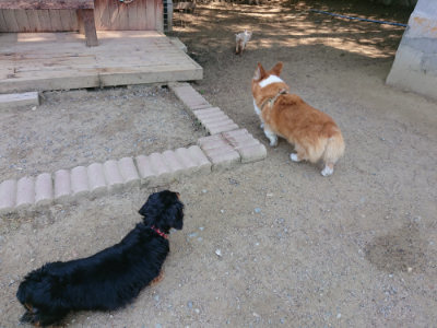 f:id:roukenhome-ann:20190515075733j:plain