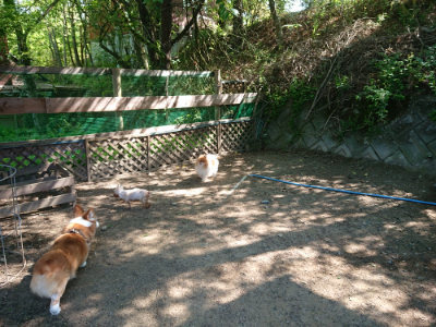 f:id:roukenhome-ann:20190515075740j:plain