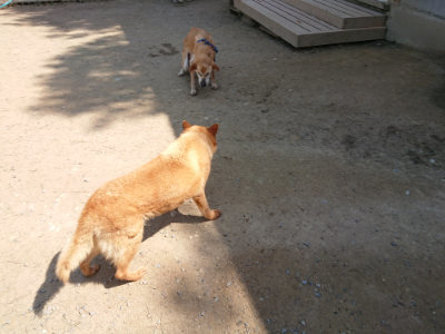 f:id:roukenhome-ann:20190515075753j:plain