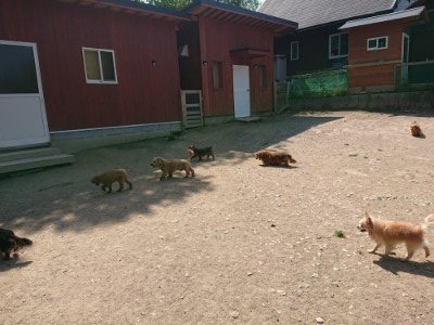 f:id:roukenhome-ann:20190515075757j:plain
